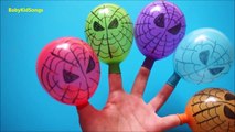 Five Spidermans Balloons Family Top Finger Balloon Compilation Learn colours MORE