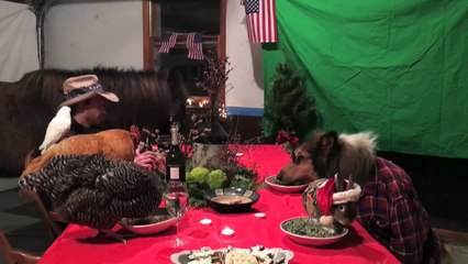 Un homme fait un repas de Noël avec tous ses animaux de compagnie !