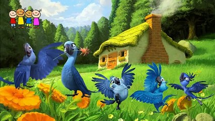 Cartoons for Kids   Cabbage Finger Family Rhymes in English   Family Finger Song