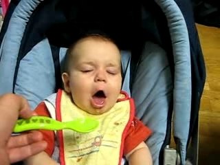 Purée de courgettes