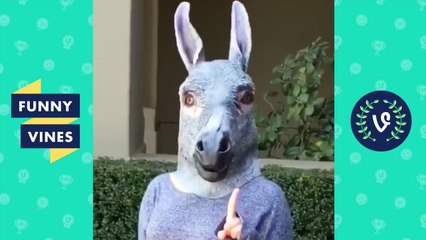 Try Not To Laugh or Grin While Watching This - Funny Vines Funny Videos