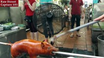 Vietnam street food - Crispy Roast BBQ Whole Pig Hog - Street food in Vietnam 2016
