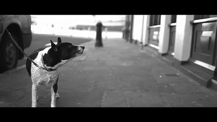 Patrick Wolf - London