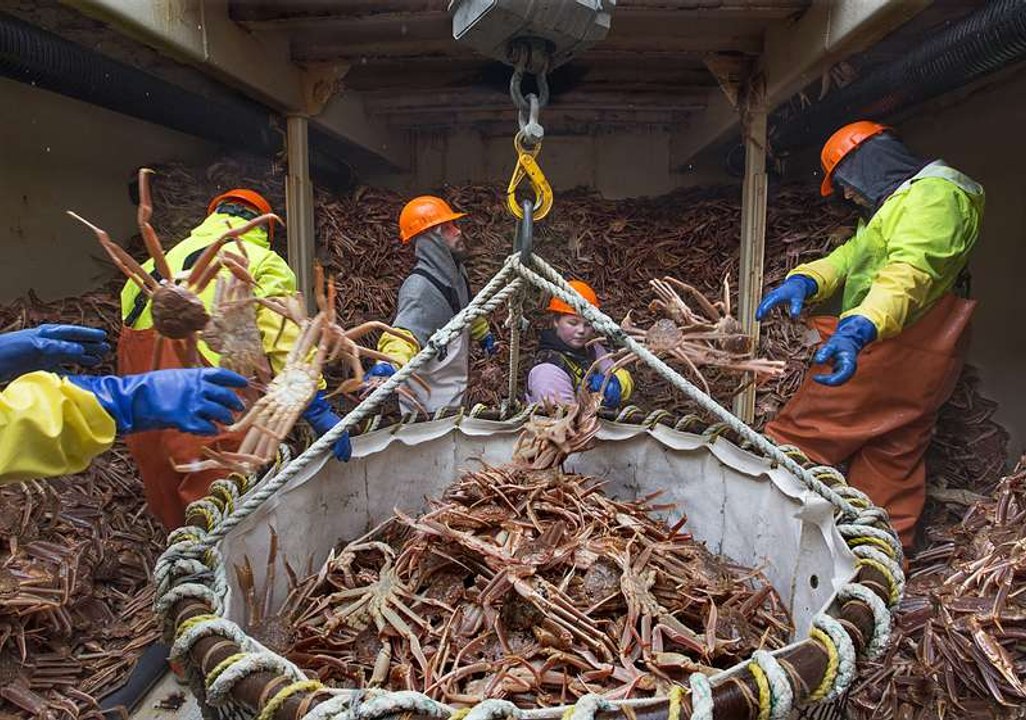 King crabbing in Northern Norway.