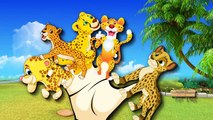 Finger Family Rhymes Cheetah Cartoons For Kids | Finger Family Nursery Rhymes | Finger Family Songs