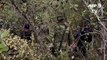 12 bodies found in clandestine graves in Mexico-vqz9_vy7Exw