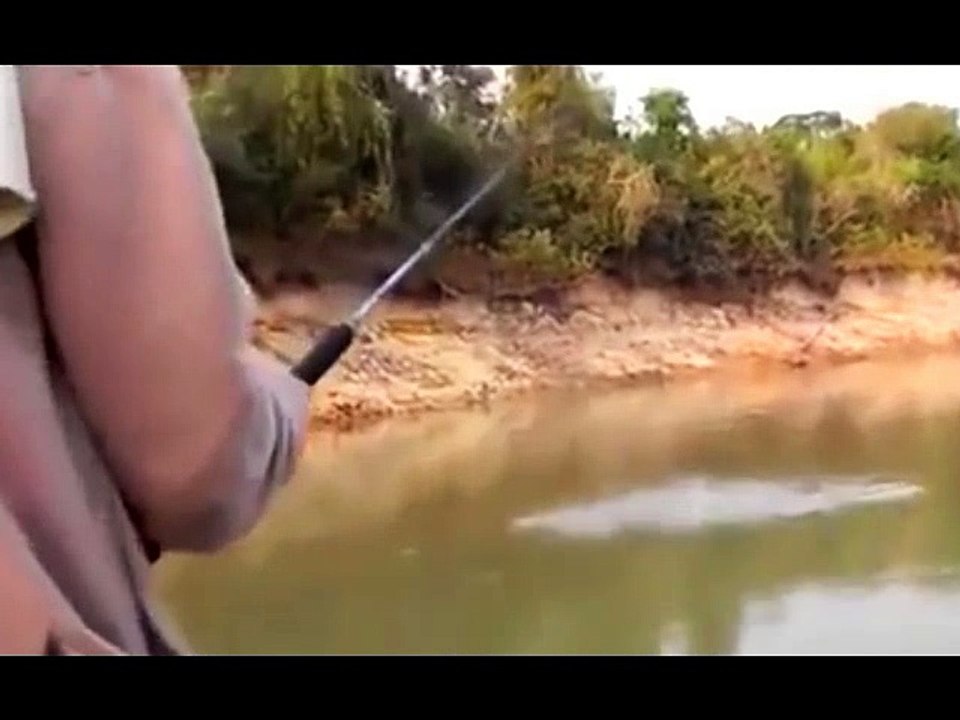 STRANGE RARE ANIMALS3