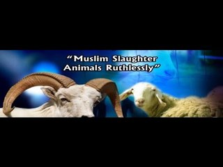 Do Muslim slaughter animal ruthlessly?