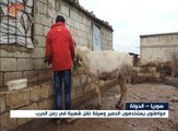 سوريا: استخدام الحيوانات وسيلة للتنقل في زمن الحرب