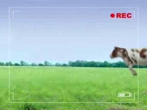 les lapins crétin veulent du lait