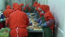Bulgarian, Hungarian foie gras makers feed new markets[1]