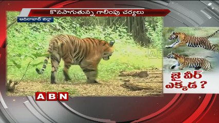 Mystery continues over Missing Tiger Jaiveer