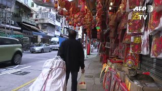 Hong Kong's feline friends offer insight into city's past