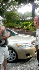 Dog Passes Out From Overwhelming Joy - Funny Videos at Videobash(1)