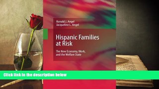 Read Online Hispanic Families at Risk: The New Economy, Work, and the Welfare State Ronald J.