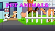 Learn Domestic Animals Pets For Children | Best Way To Learn Animals Names For Kids And Toddlers