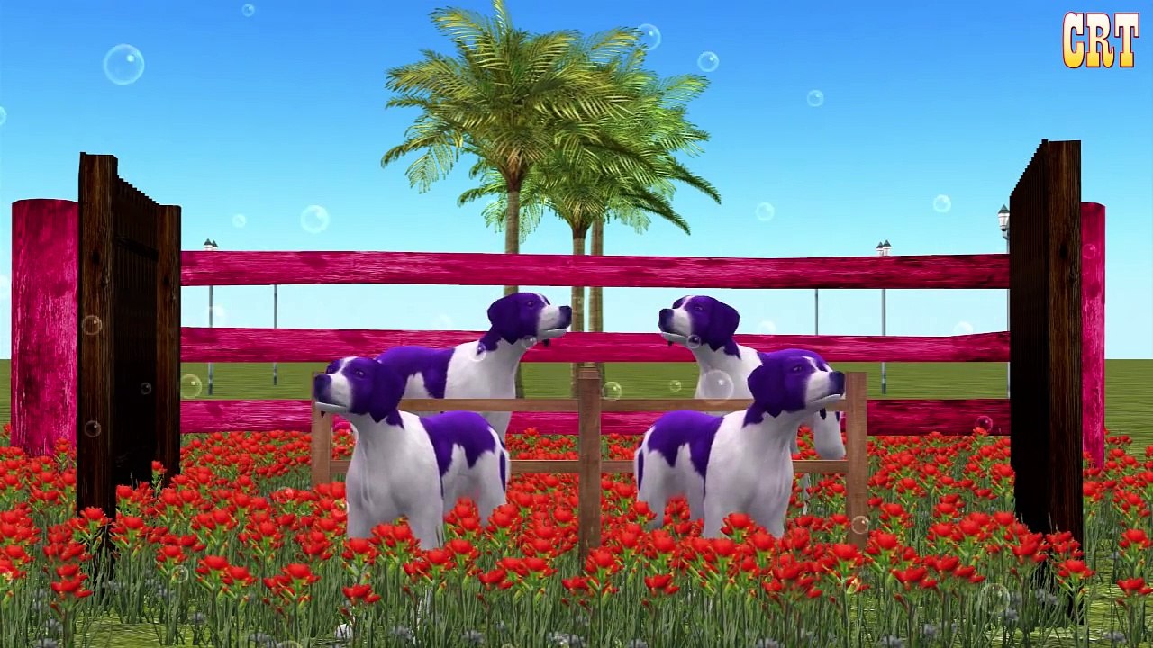 Colourful Sounds Learning Nursery Rhymes || Children Rhymes For Collection