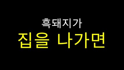 [제주여행 꿀팁] 흑돼지 먹을때는 흑돈주