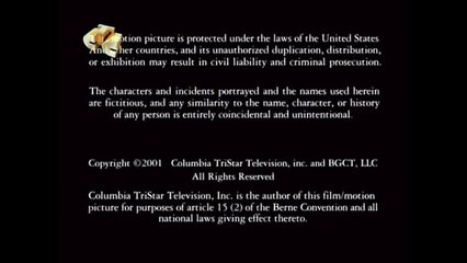 Brad Grey Television_Go Mike Go_Columbia TriStar Television (2001) #1