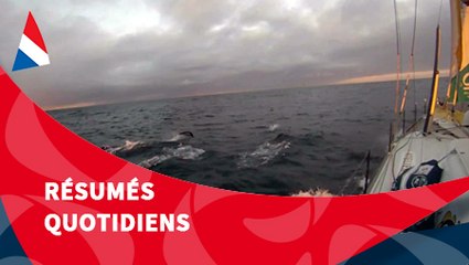 J57 : Un mois de course en tête pour Armel Le Cléac'h / Vendée Globe