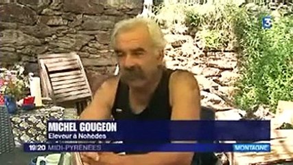 Présence du loup dans les Pyrénées - France 3 Midi-Pyrénées