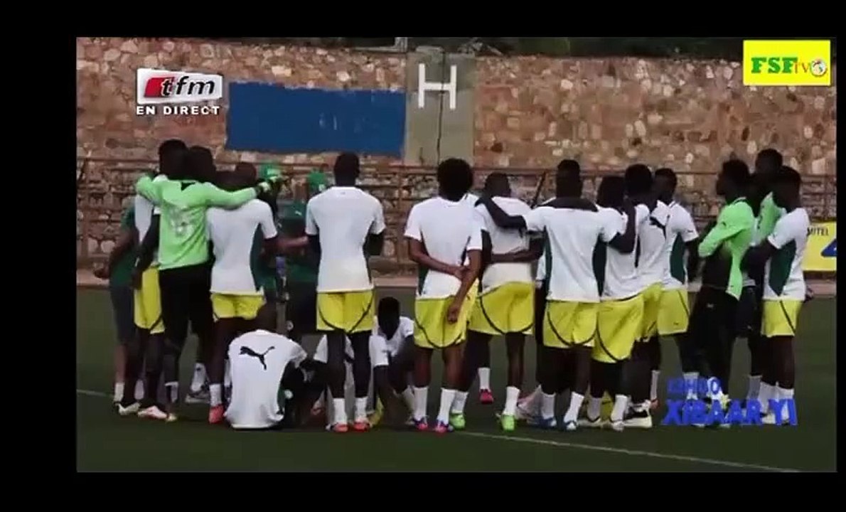 Lions CAN 2017