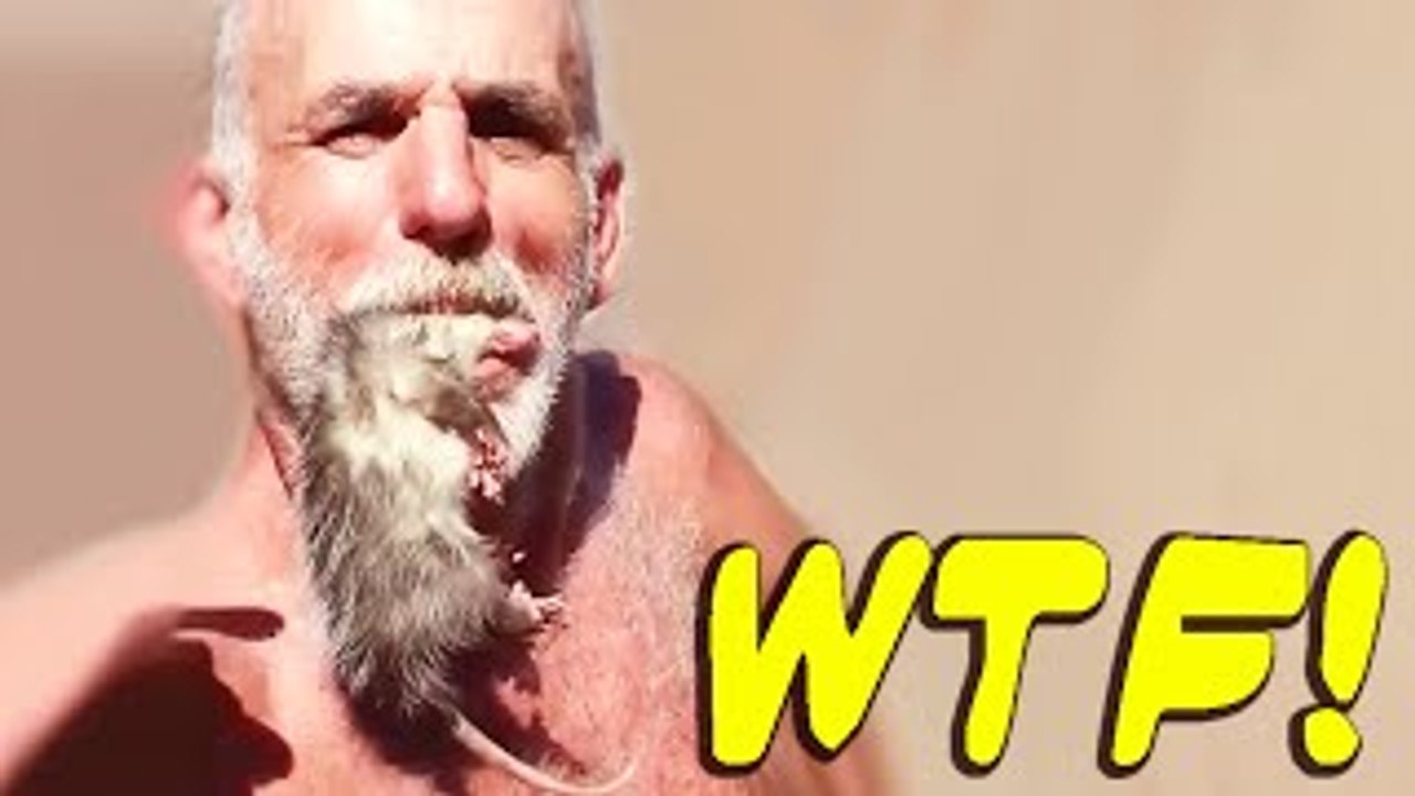 WTF DID I JUST WATCH?! || Funny Compilation Prt 2
