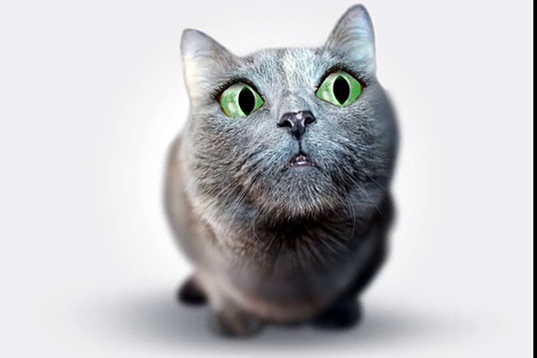 Happy Birthday!!! - Funny Birthday Songs (Ain't she cute!)