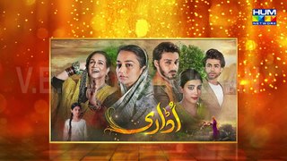 Composite Promo | HUM TV Dramas 2016 | HAPPY NEW YEAR 2017