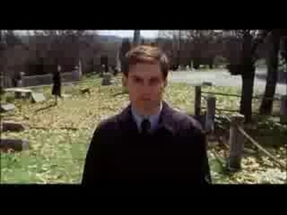 Spider Man Web of Night