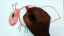 How to draw ant, ant drawing step by step, how to draw ANT video, Ant drawing for kids