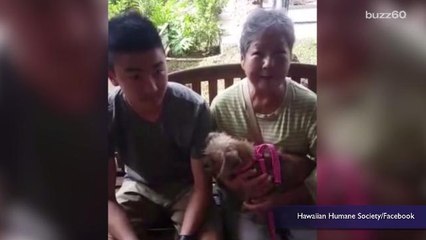 Hawaiian Humane Society Successfully 'Clears The Shelter'