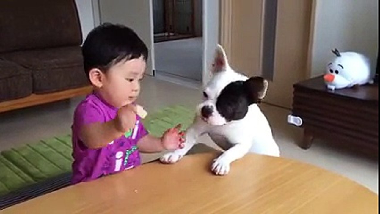 you never knew what a dog can do