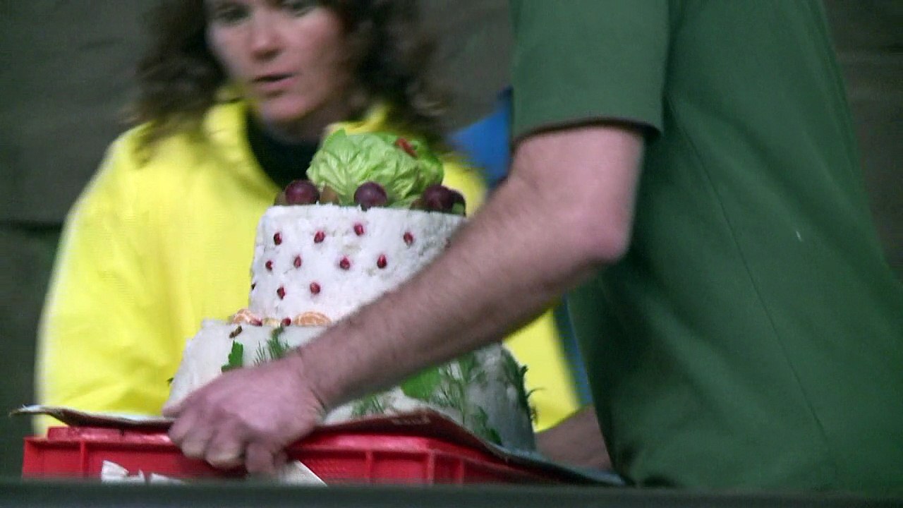 Töröö und Trara: Elefant Edgar feiert ersten Geburtstag