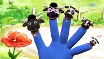 Cow Finger Family Nursery Rhymes For Children | Top Viewed Kids Animation Songs | Cartoon Rhymes |