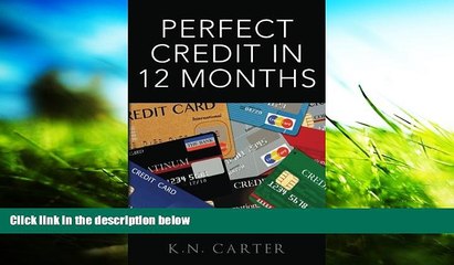 Pre Order Perfect Credit In 12 Months K. N. Carter mp3