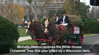 Michelle Obama receives White House Christmas Tree-1uLsHo_aHdk