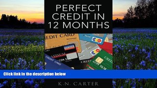 Audiobook Perfect Credit In 12 Months K. N. Carter Audiobook Download