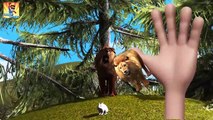 3D Finger Family Rhymes for Children Lion Elephant Bear | Finger Family Nursery Rhymes