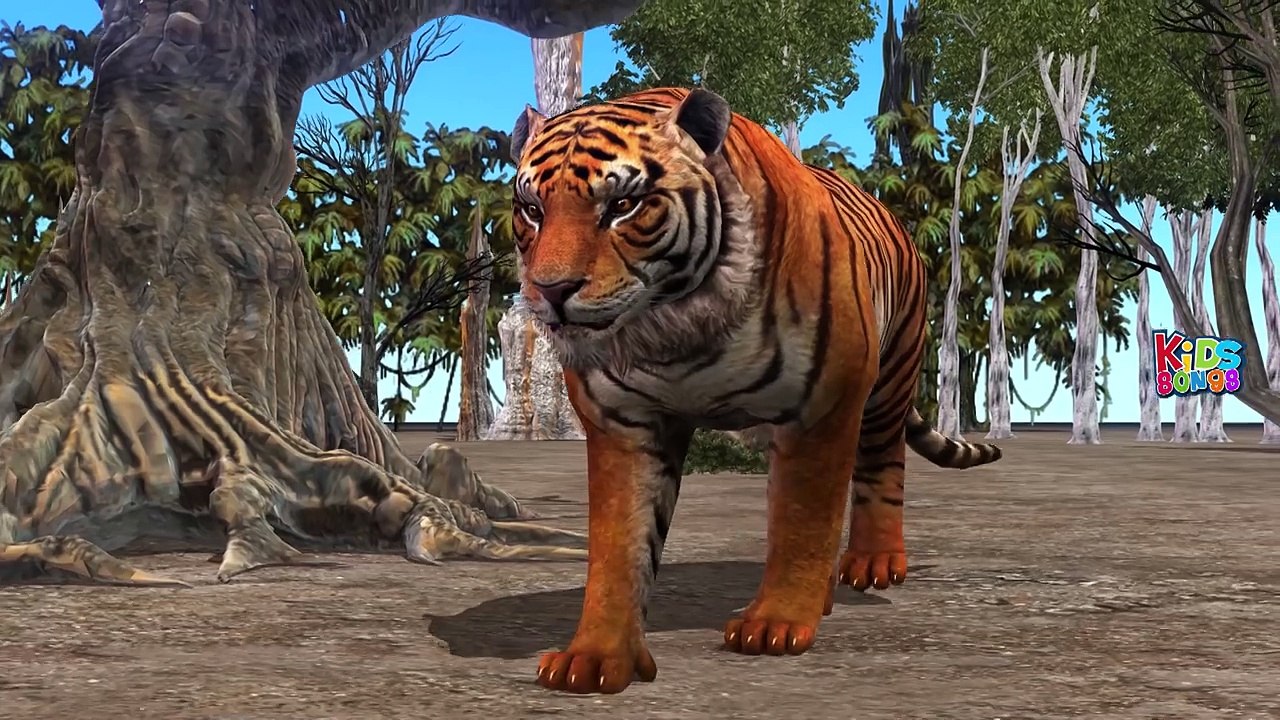 Finger Family Children Nursery Rhymes | Lion | Bear | Tiger |Animals Finger Family Songs