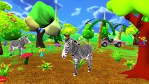 Tiger Lion Deer Elephant Pigeon Ducks And Different Animals Sounds for Children And Kids
