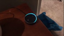 Fail: Alexa Horribly Misunderstands A Boy’s Innocent Request!