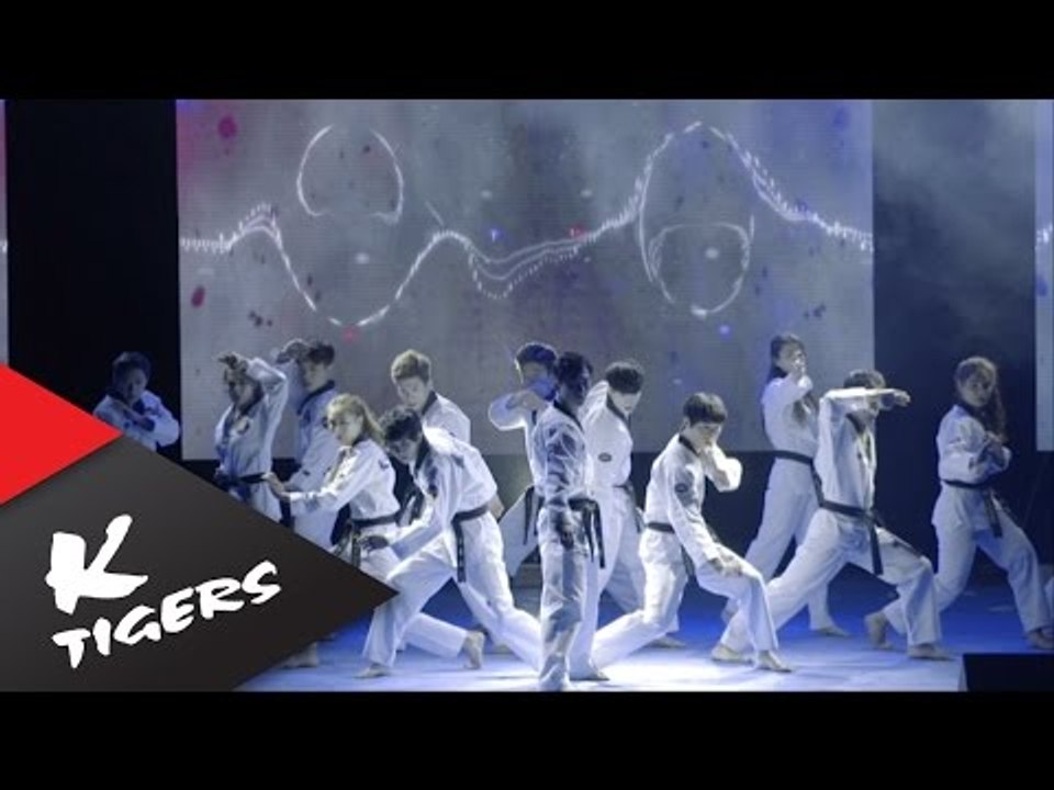 K-Tigers Live Show 2016 - in Busan