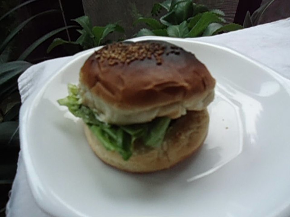Hamburger  Japanese food ハンバーガー