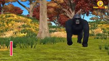 Lion Attacks Elephant Fighting | Dinosaur Vs King Kong | Funny Animal Videos for Kids