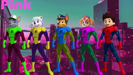 Paw Patrol Spiderman Finger Family Coloring Song Learn Colors with Finger Family and Funny Pups
