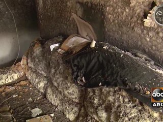 Phoenix firefighters: Christmas tree ignites, burning little girl