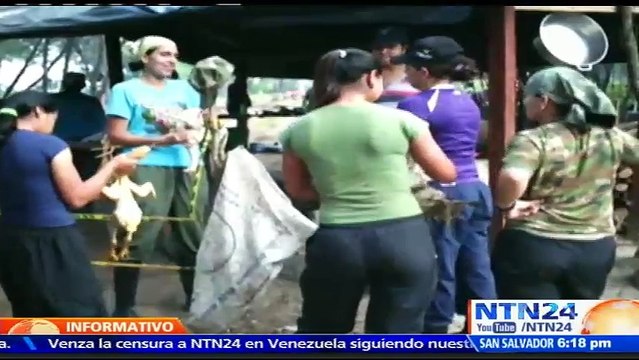 ONU ve inapropiado el baile de dos de sus observadores con miembros de FARC en Colombia