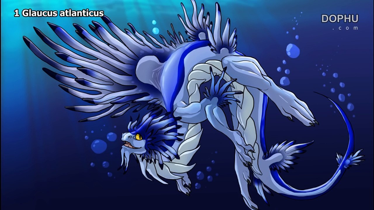 Top 10 Dragon Have It