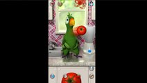 Talking Pierre the Parrot Free Android App Review